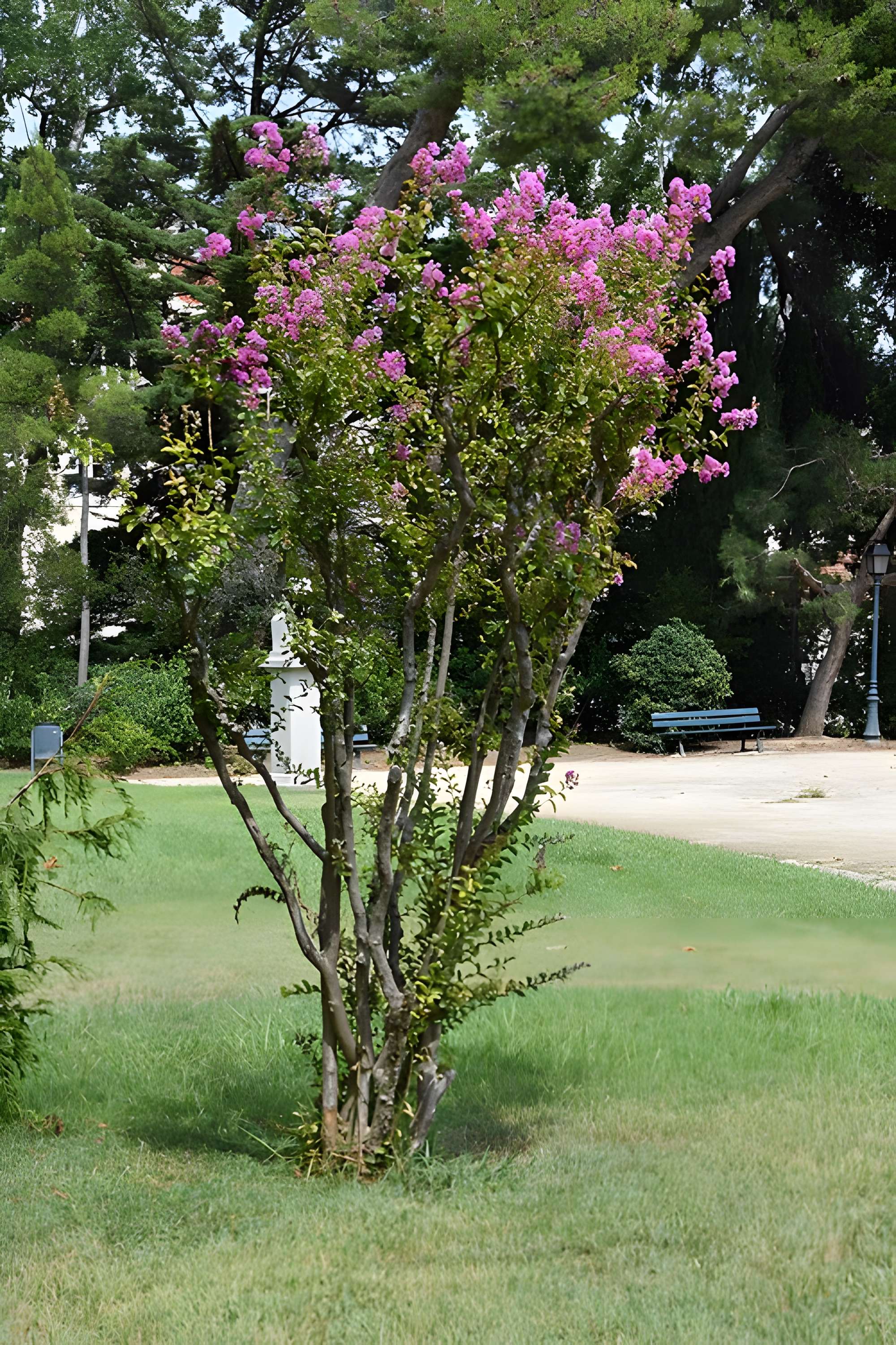 Plateau des poètes de Béziers
