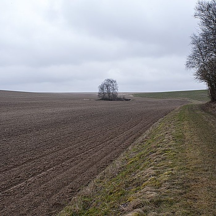 Photo de Plate-forme dartillerie de Semide
