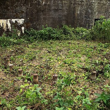 Plate-forme dartillerie de Semide