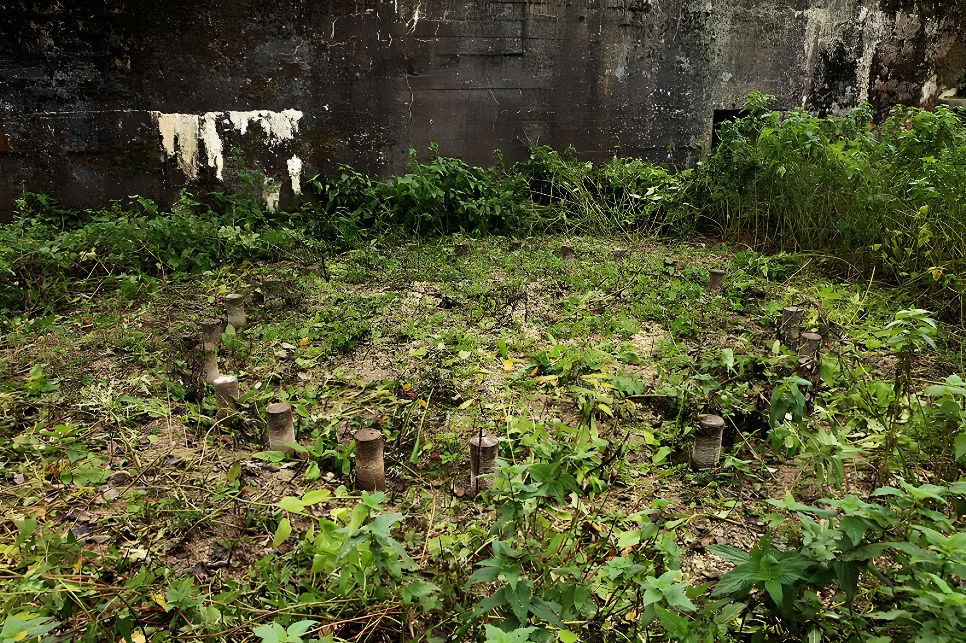 Plate-forme d'artillerie de Semide