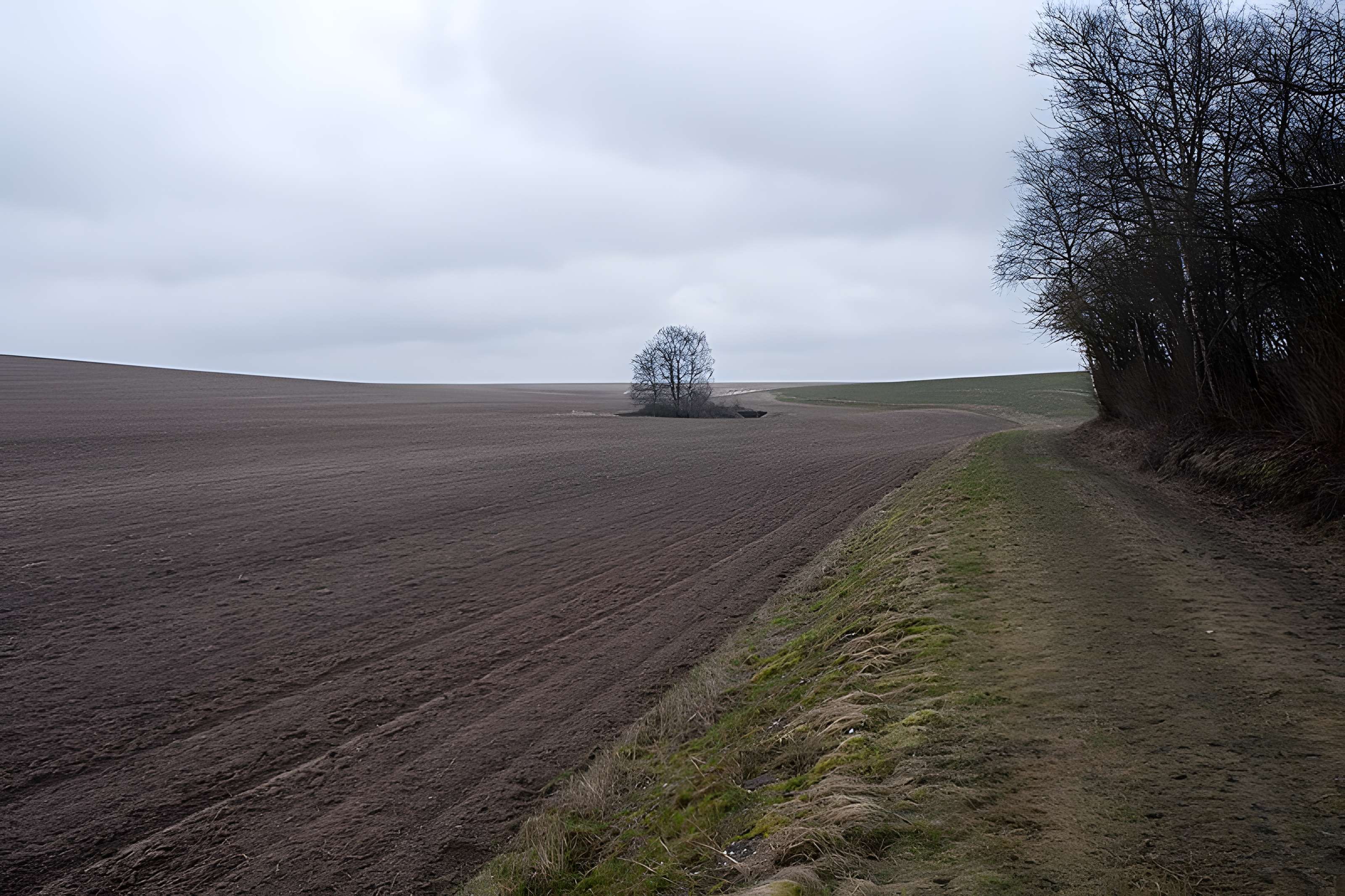 Plate-forme d'artillerie de Semide