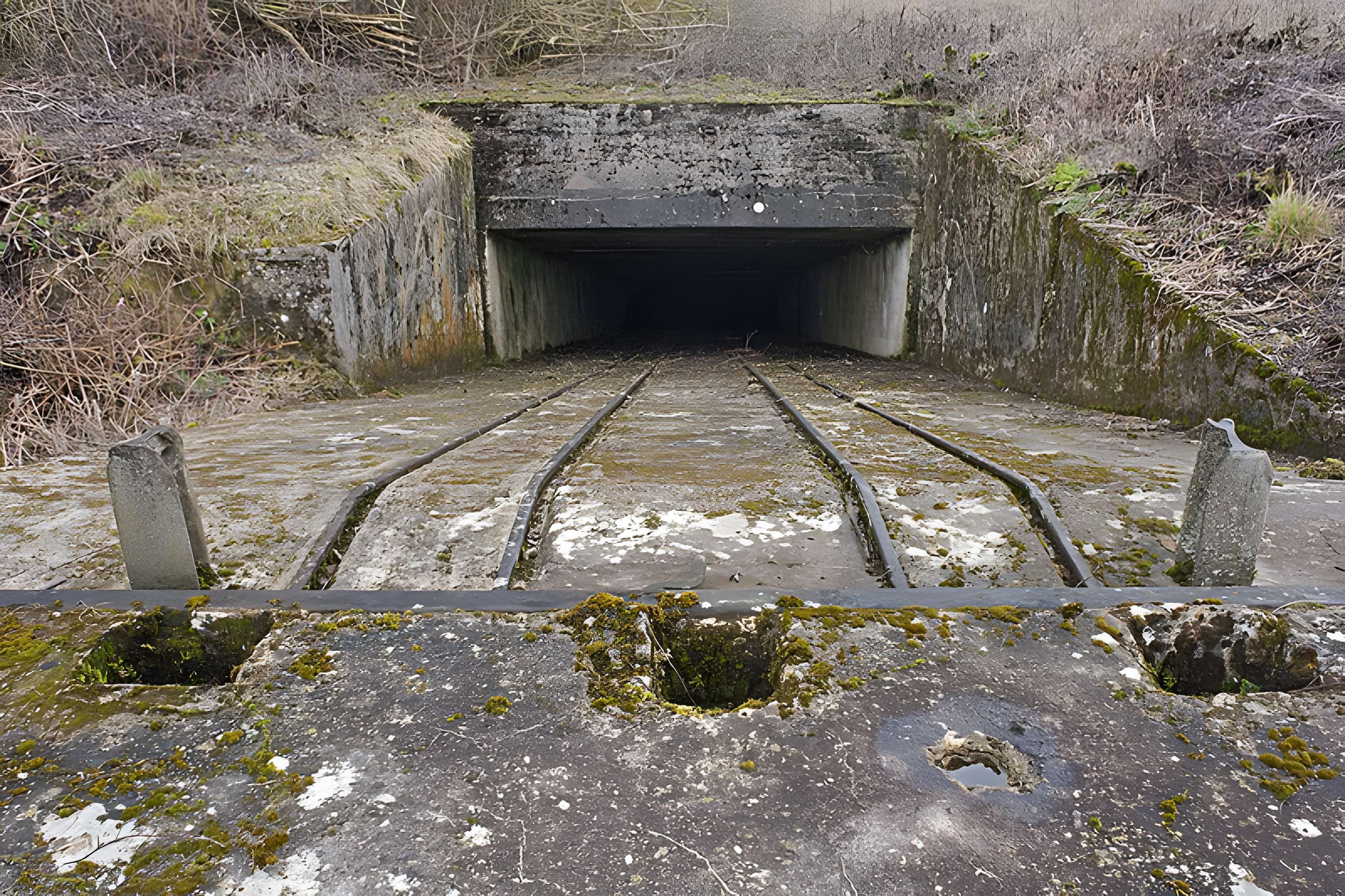 Plate-forme d'artillerie de Semide