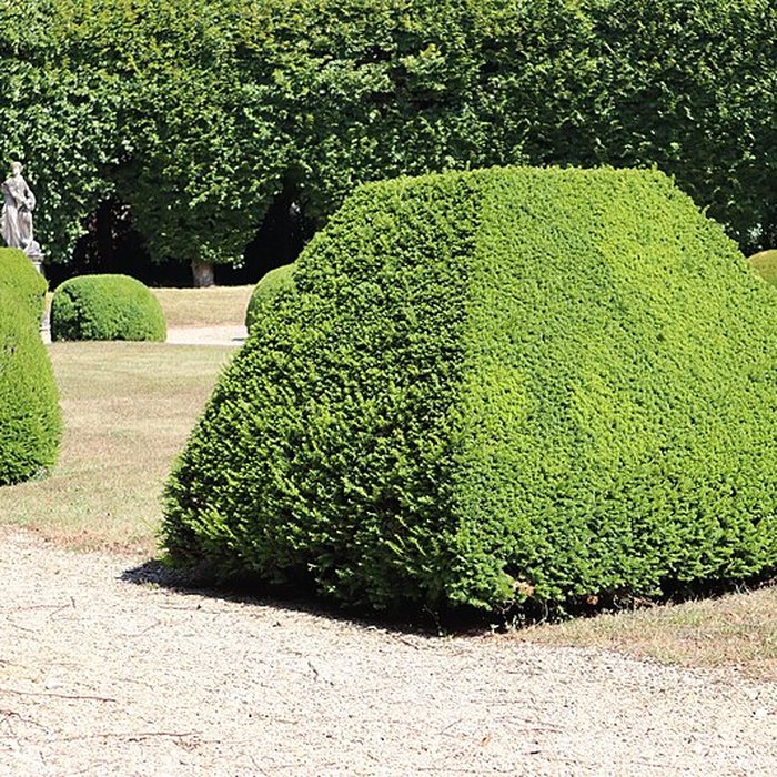 Photo de Château de Fontaine-Française