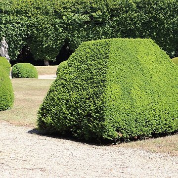 Château de Fontaine-Française