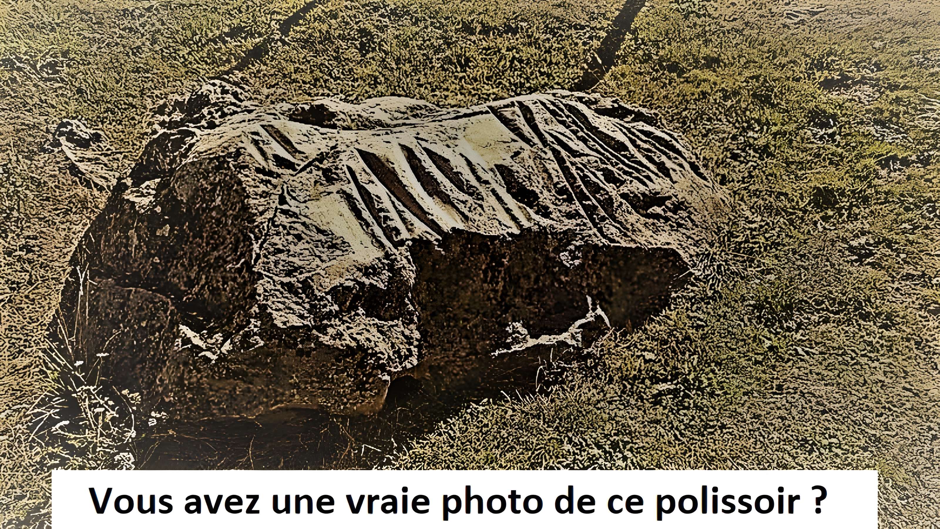 Polissoir de la forêt du Lay de Nesles-la-Vallée 