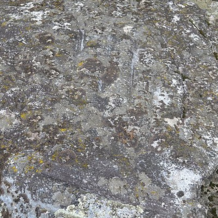 Photo de Polissoir de la Vésinière de Cheffois