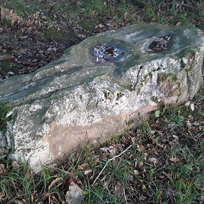 Photo de Polissoir dit La Pierre Saint-Guillaume de Montenay