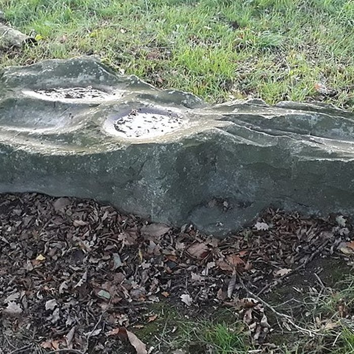 Photo de Polissoir dit La Pierre Saint-Guillaume de Montenay