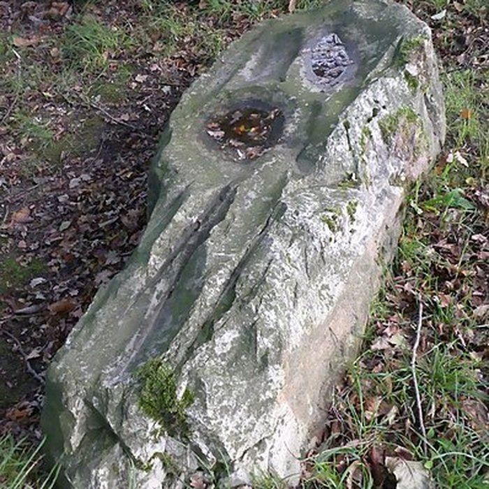 Photo de Polissoir dit La Pierre Saint-Guillaume de Montenay