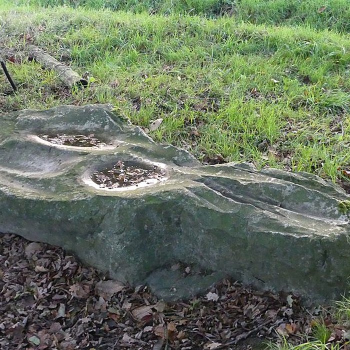 Photo de Polissoir dit La Pierre Saint-Guillaume de Montenay
