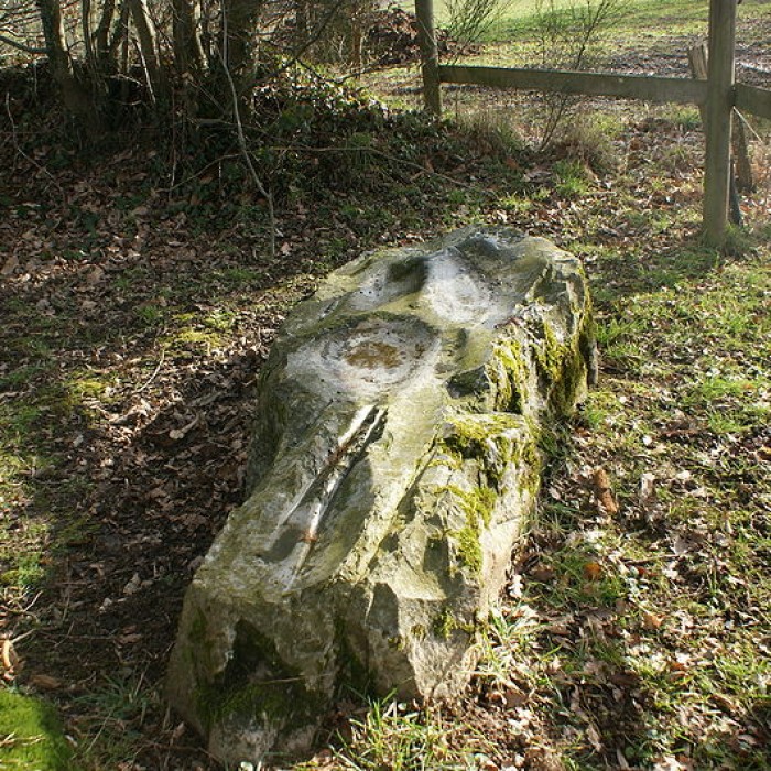 Photo de Polissoir dit La Pierre Saint-Guillaume de Montenay