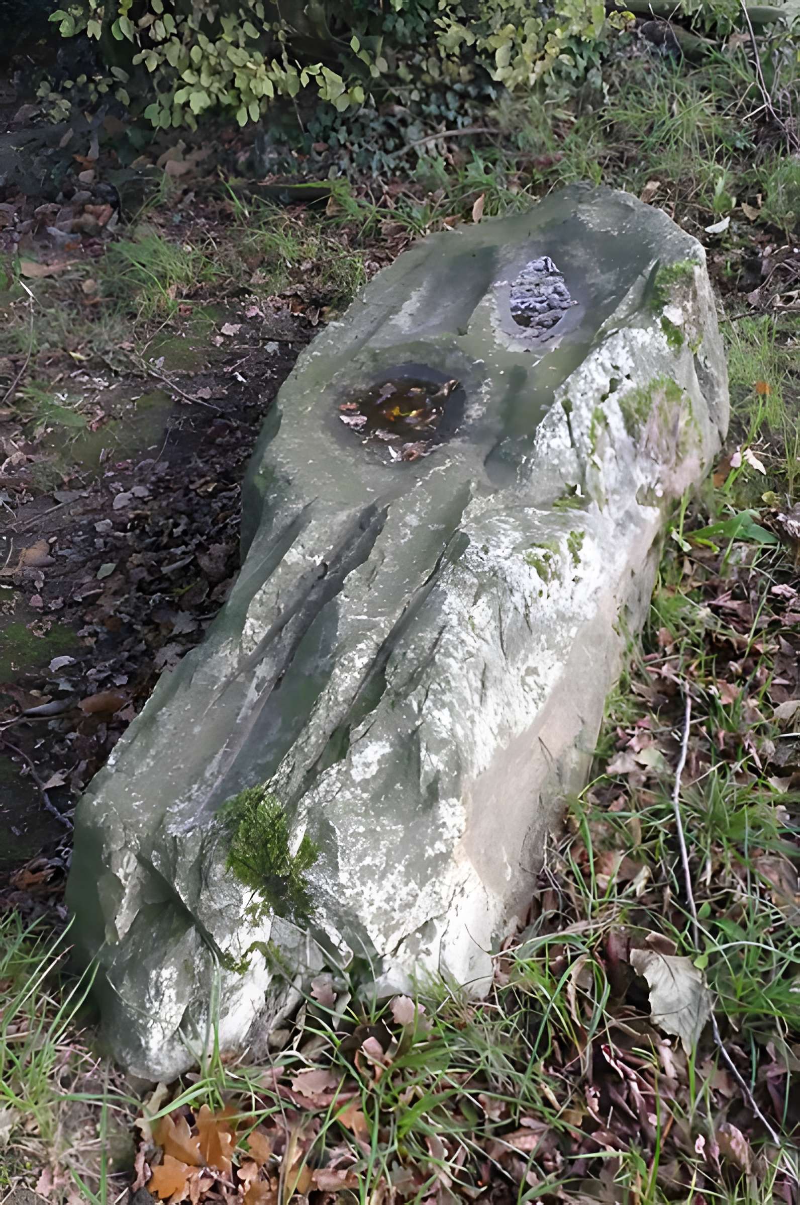 Polissoir dit La Pierre Saint-Guillaume de Montenay