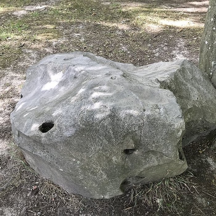 Photo de Polissoir dOrs