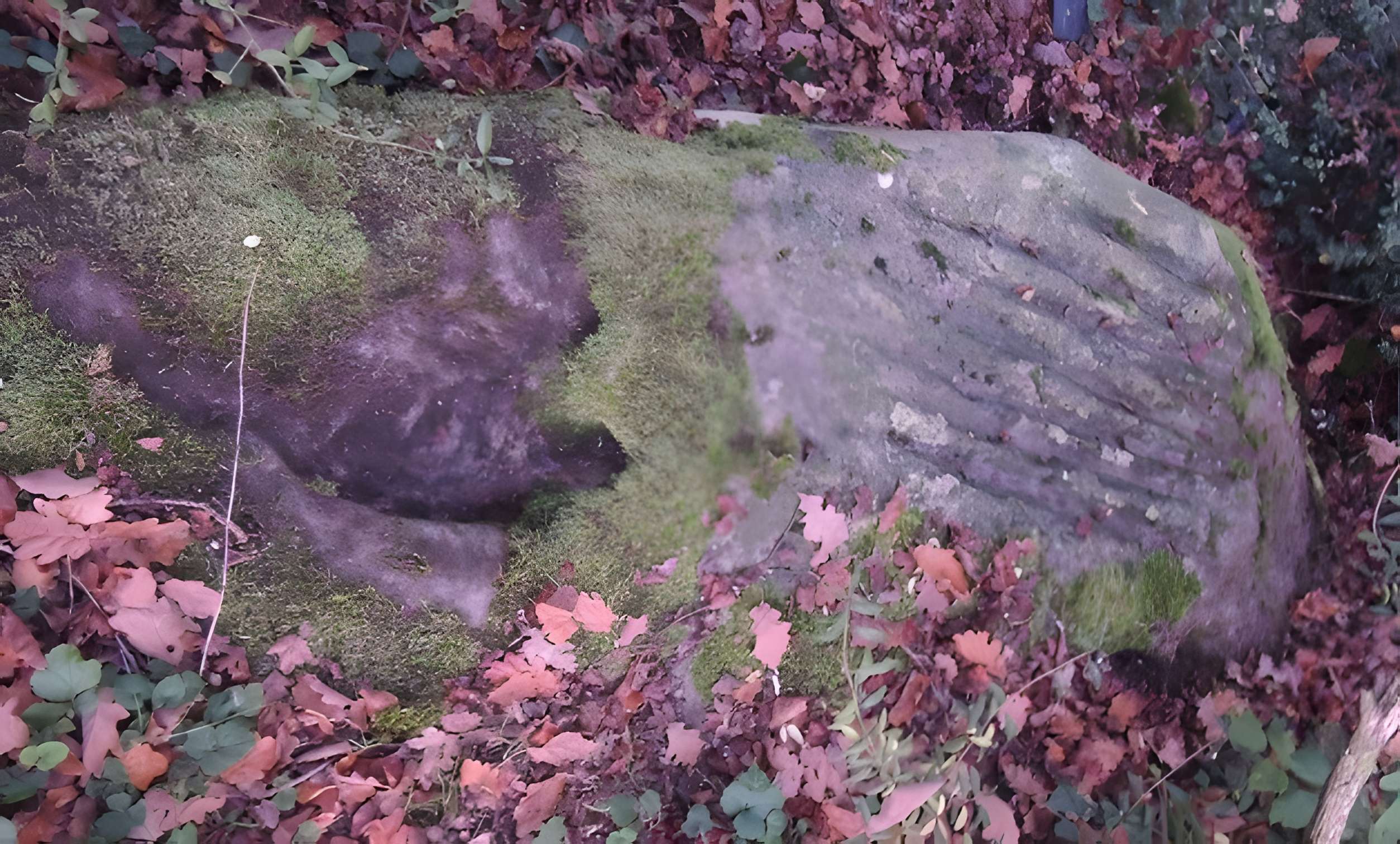 Polissoir du Goulet de Noisy-sur-École 