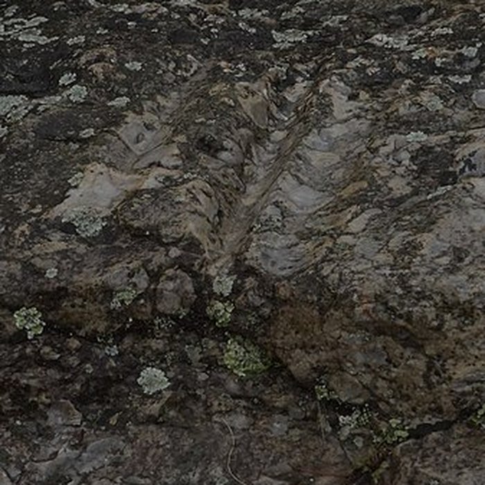 Photo de Polissoirs de Mondétour à Naveil