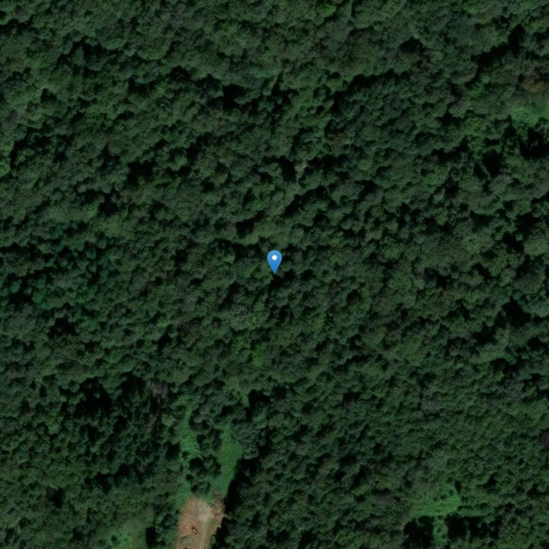 Photo de Pont de Beissat à Peyrat-de-Bellac