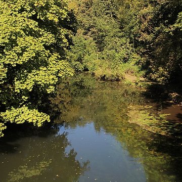 Pont de lHêtre de Lardy