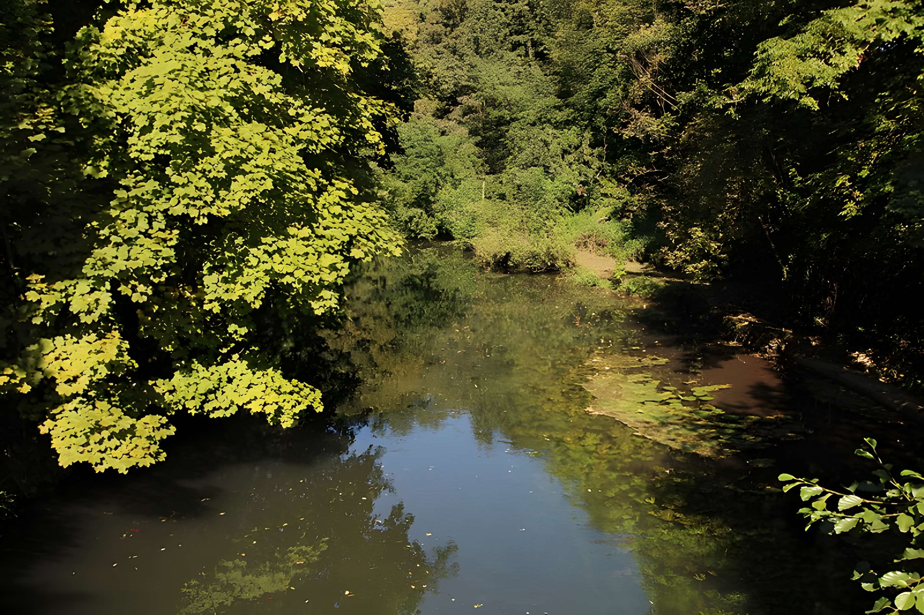 Pont de l'Hêtre de Lardy
