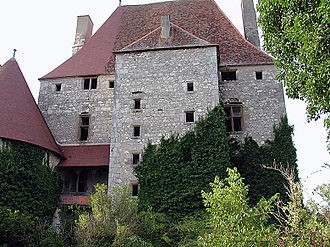 Photo de Château de Fourchaud