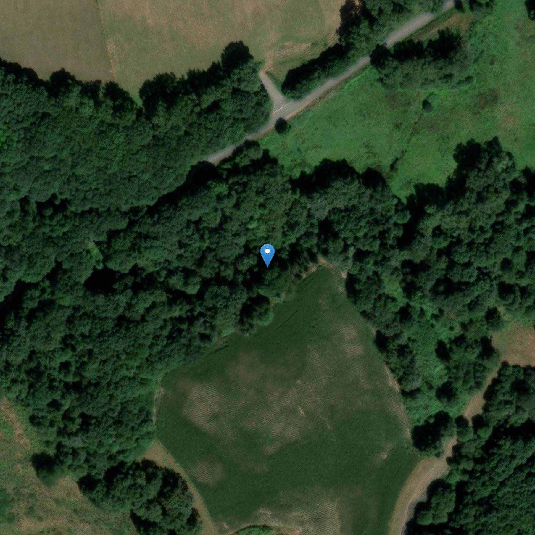 Photo de NieulのPuymaud橋