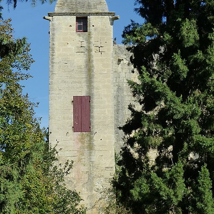 Photo de Château de Fourques