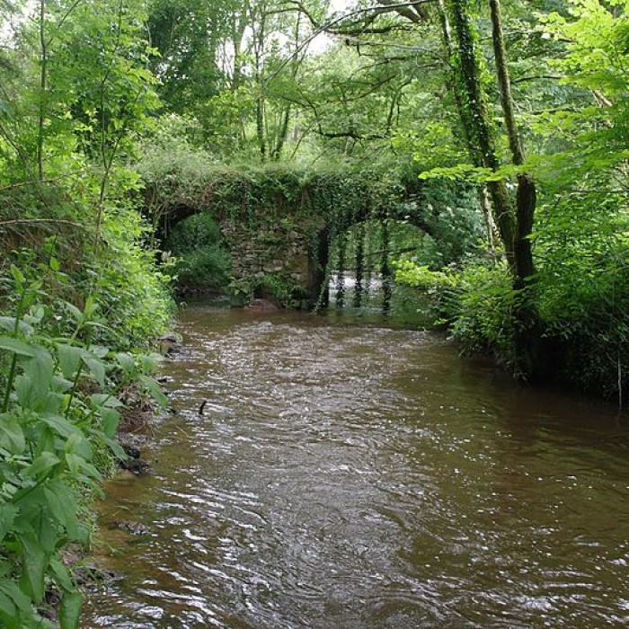 Photo de Pont du Moulin du Pont sur la Tardoire également sur commune de Saint-Mathieu