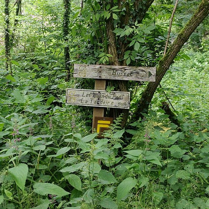 Photo de Pont du Moulin du Pont sur la Tardoire également sur commune de Saint-Mathieu
