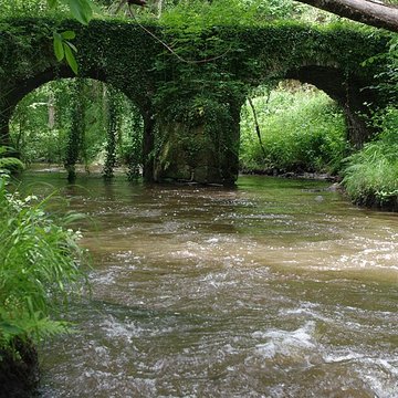 Pont du Moulin du Pont sur la Tardoire également sur commune de Saint-Mathieu