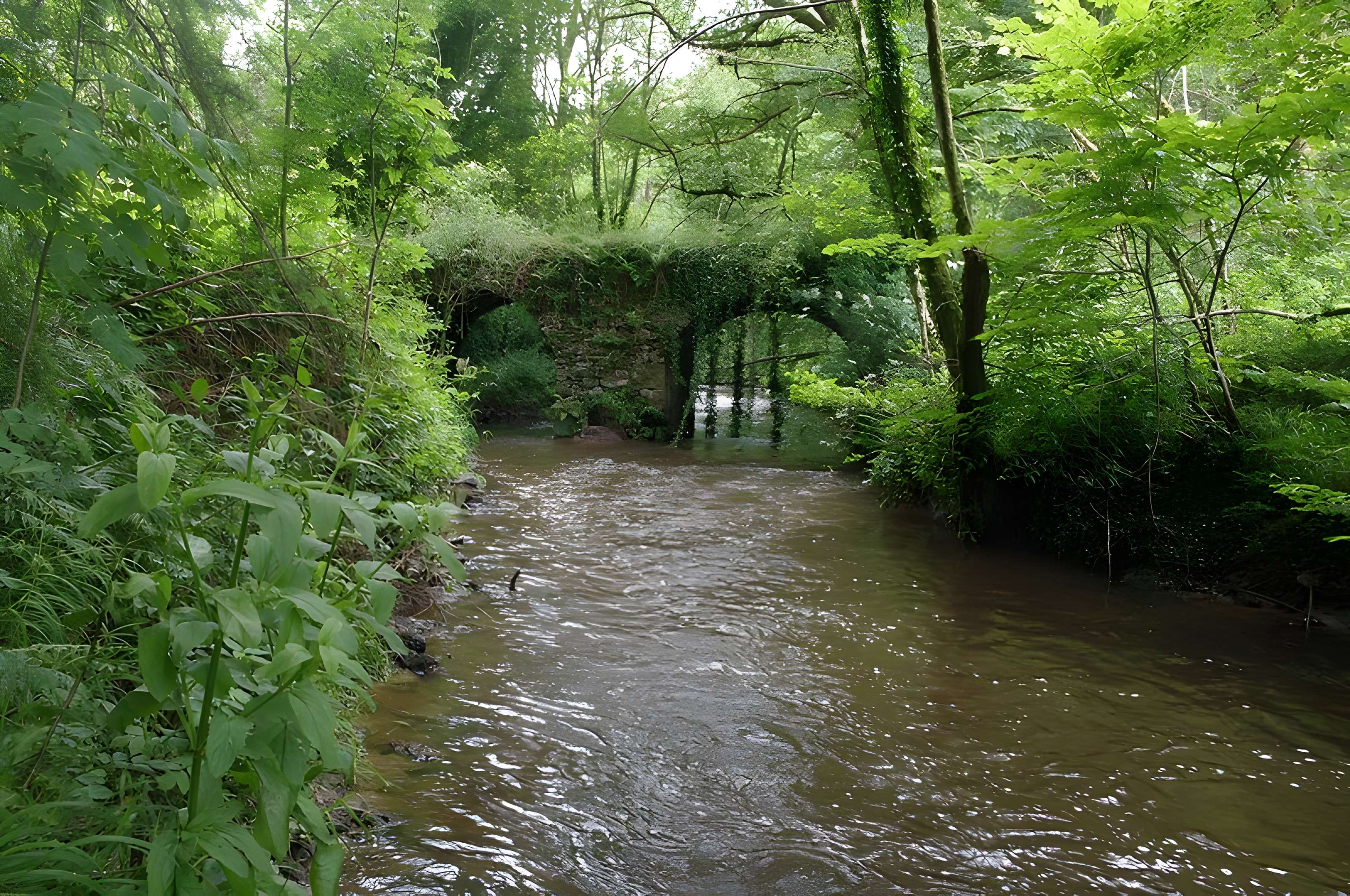 Pont du Moulin du Pont 