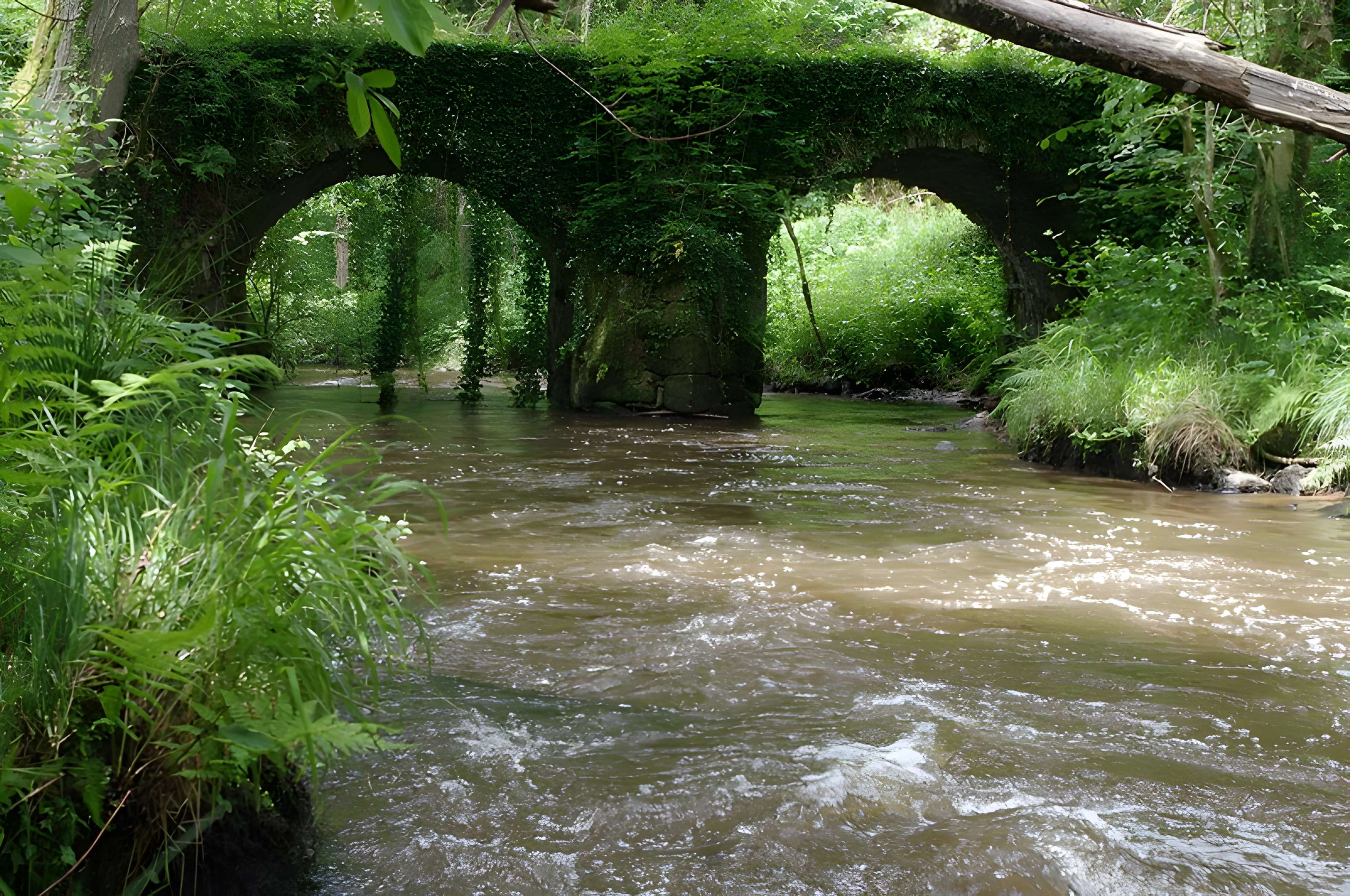 Pont du Moulin du Pont sur la Tardoire (également sur commune de Saint-Mathieu)