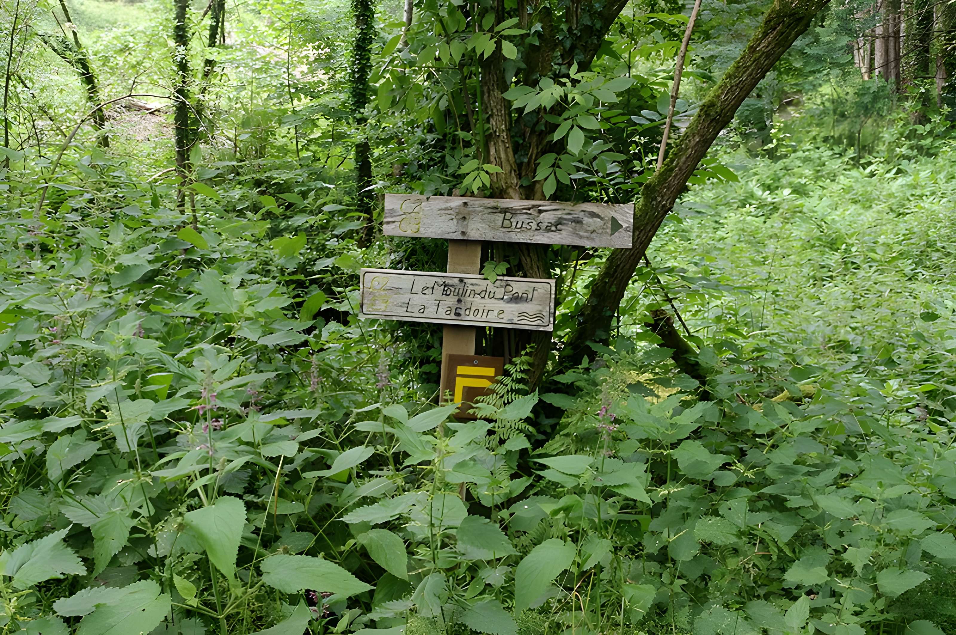 Pont du Moulin du Pont sur la Tardoire (également sur commune de Saint-Mathieu)
