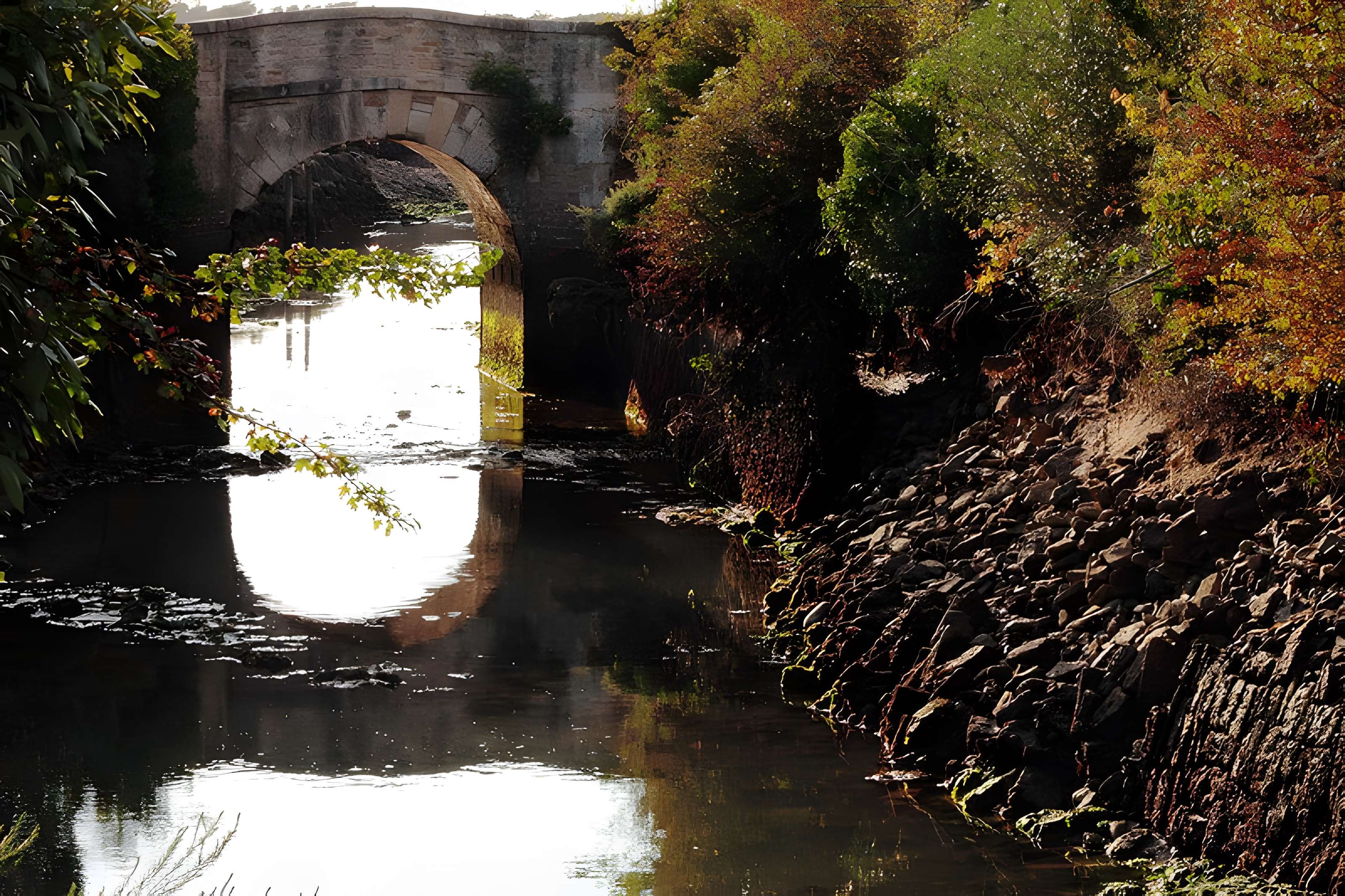 Pont Napoléon du Château-d'Oléron 