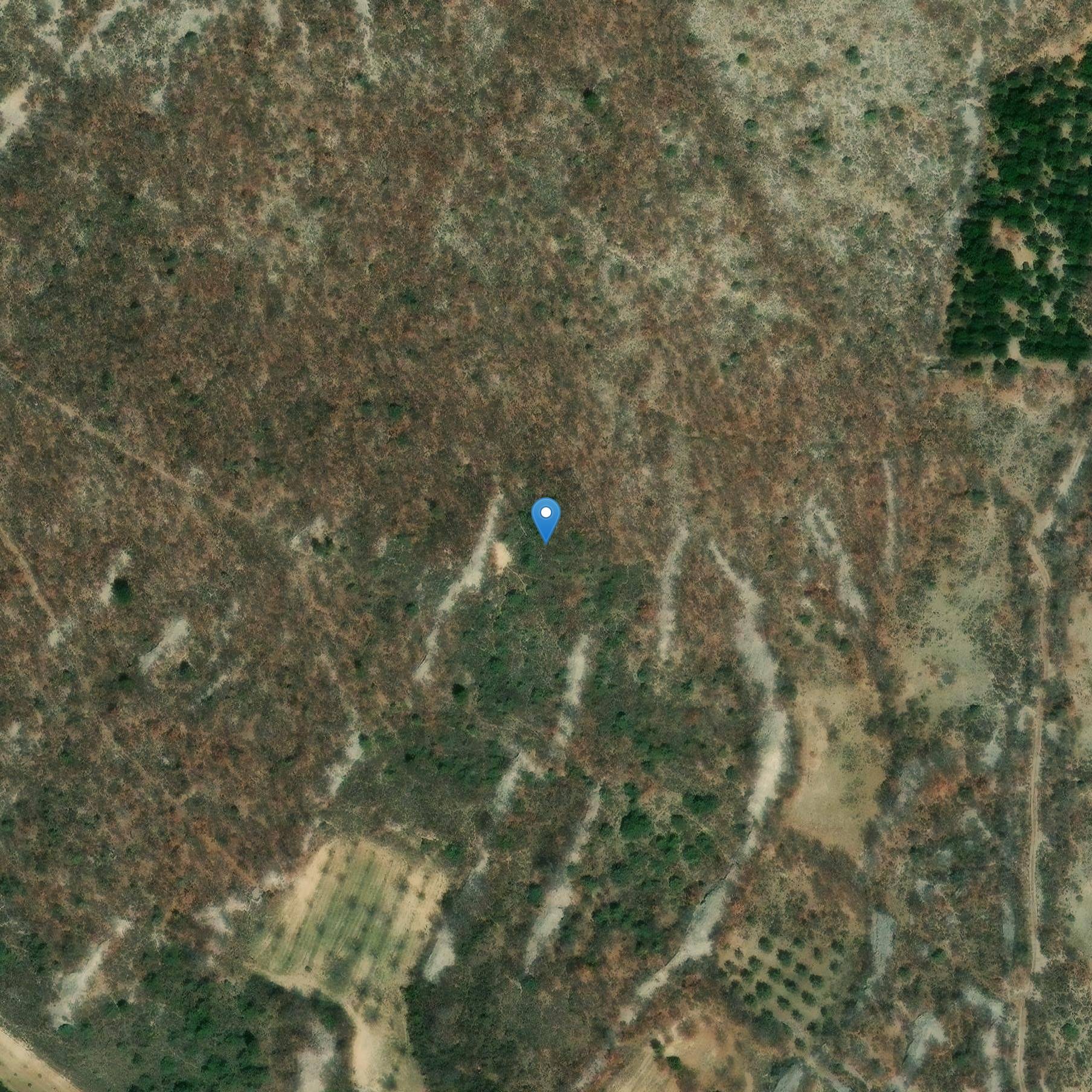 Photo de Ponte Romano di Villeperdrix