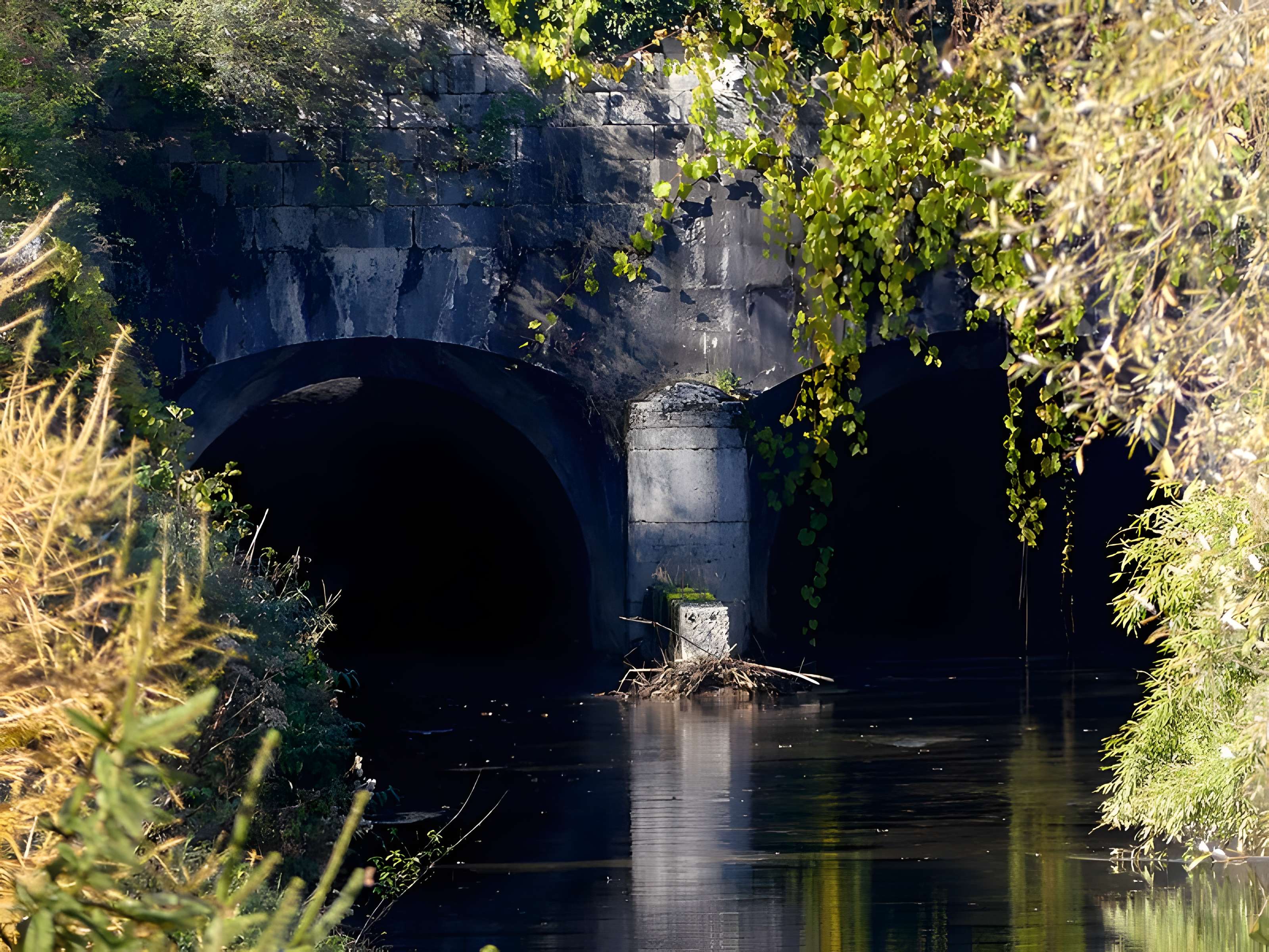 Pont Royal de Chamousset
