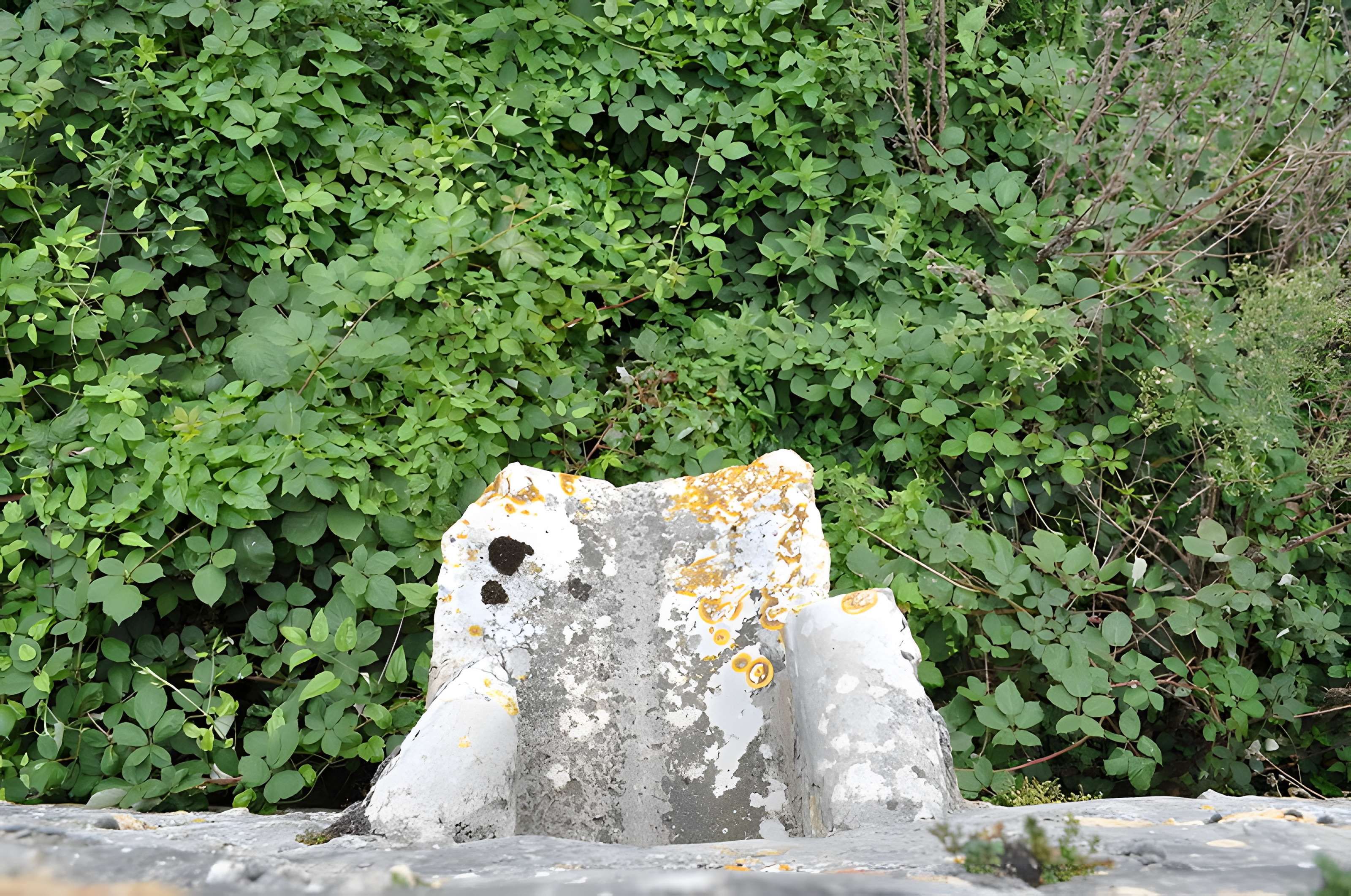 Pont Saint-Pierre d'Évry-Grégy-sur-Yerre