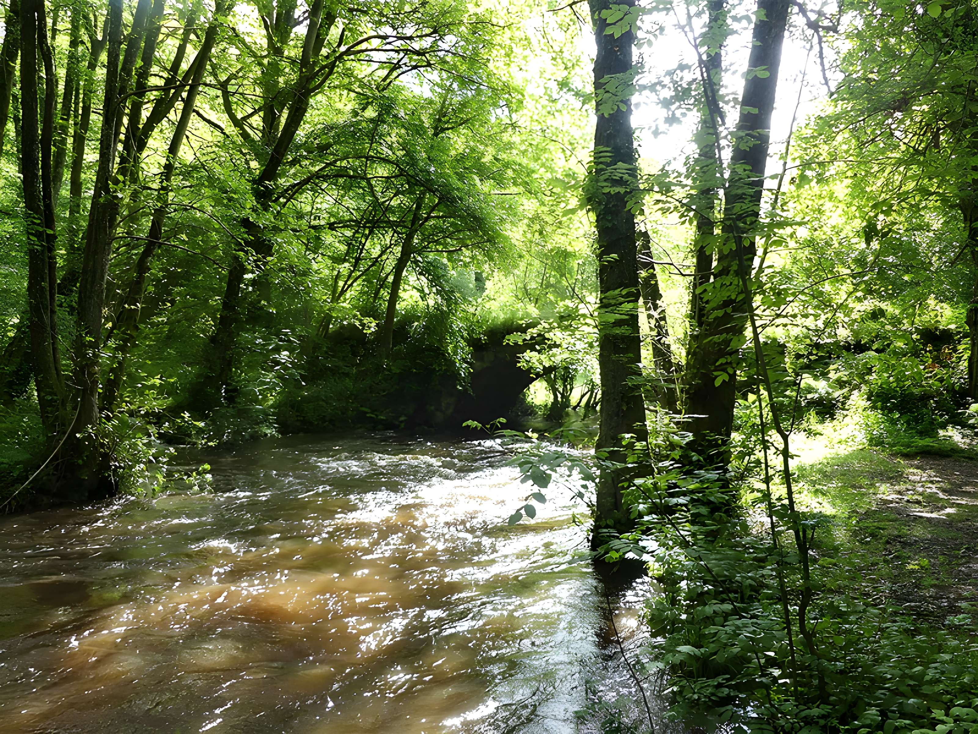 Pont-Périt de Saint-Hilaire-le-Château