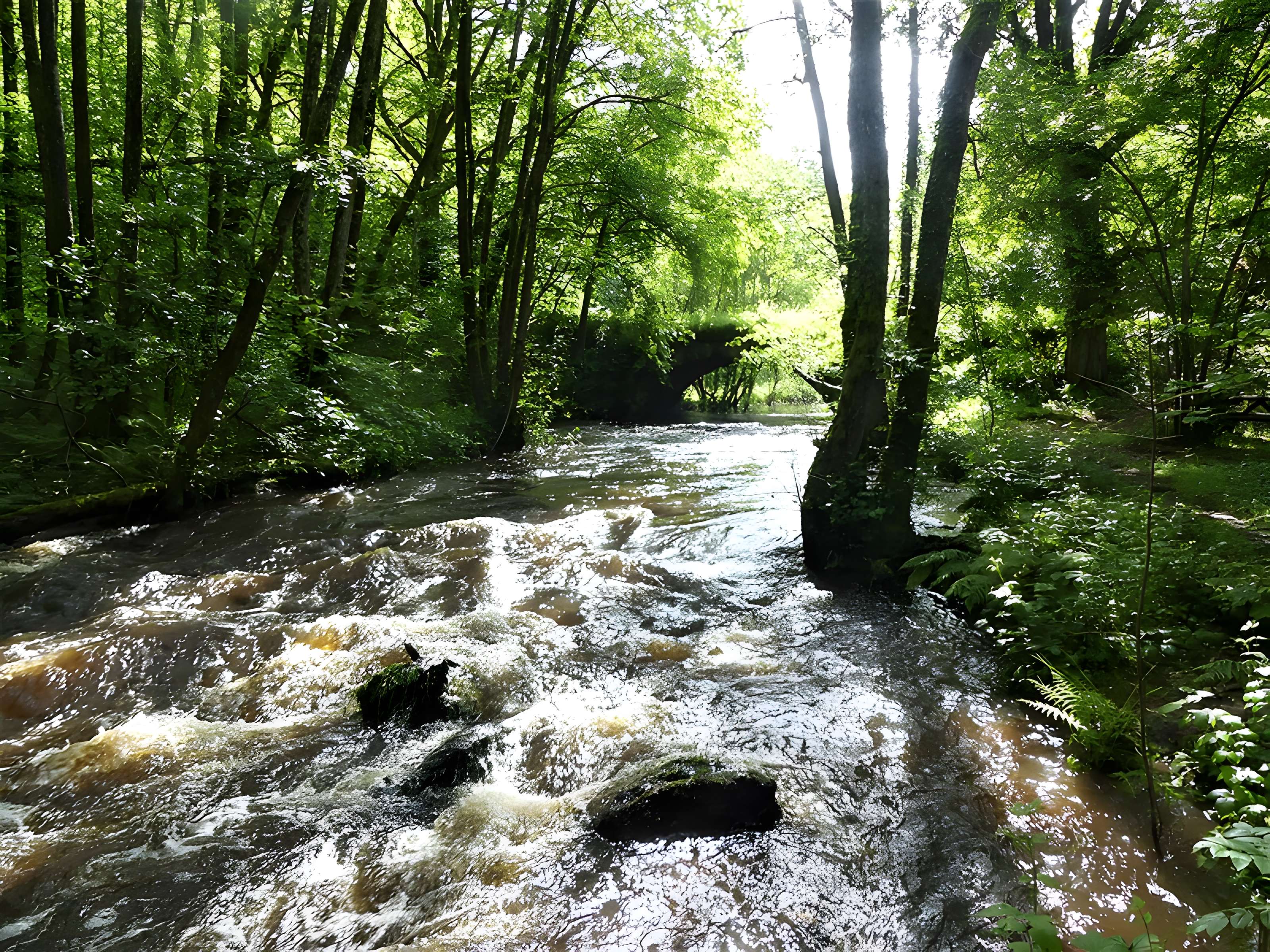 Pont-Périt de Saint-Hilaire-le-Château