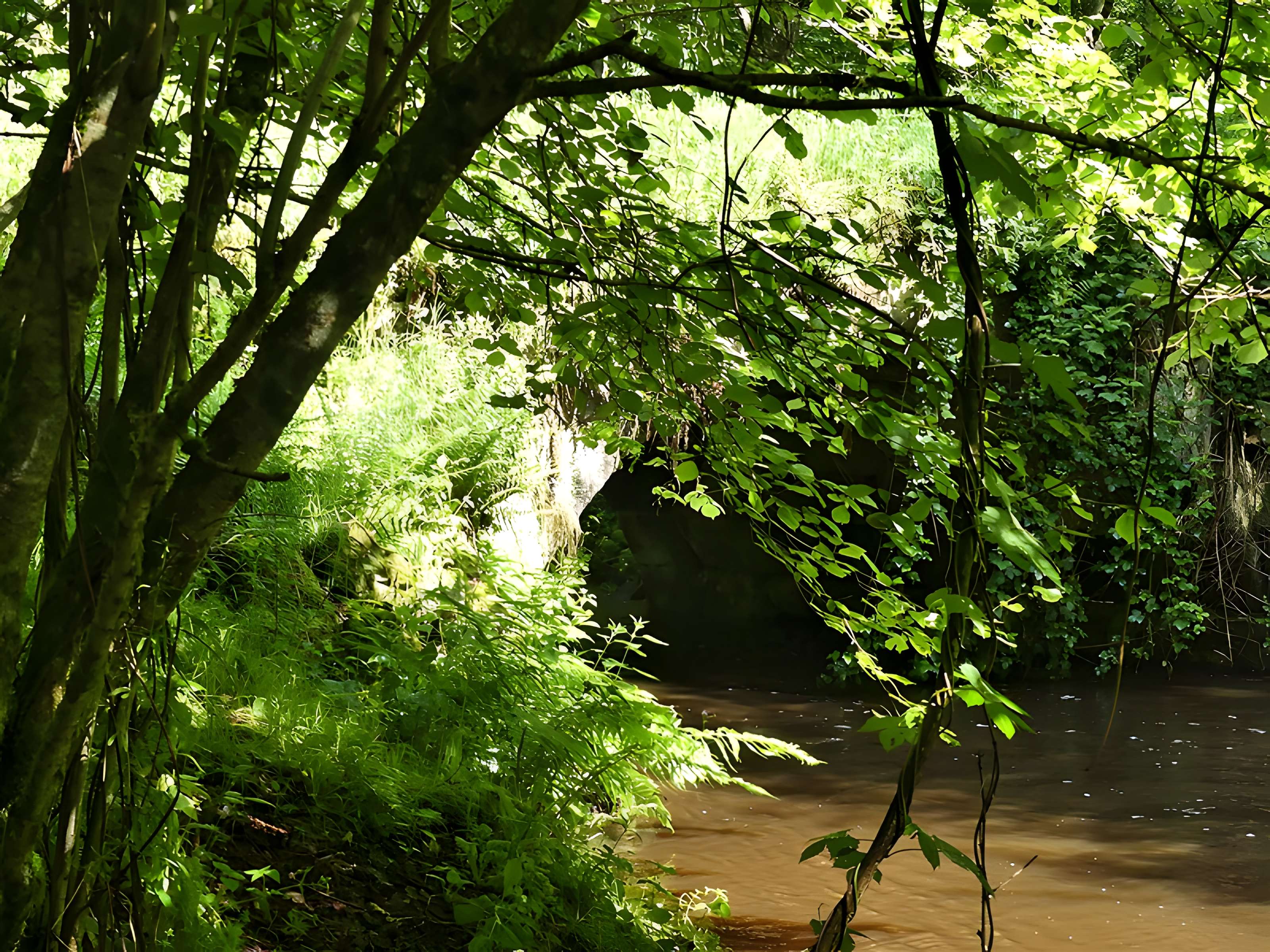 Pont-Périt de Saint-Hilaire-le-Château