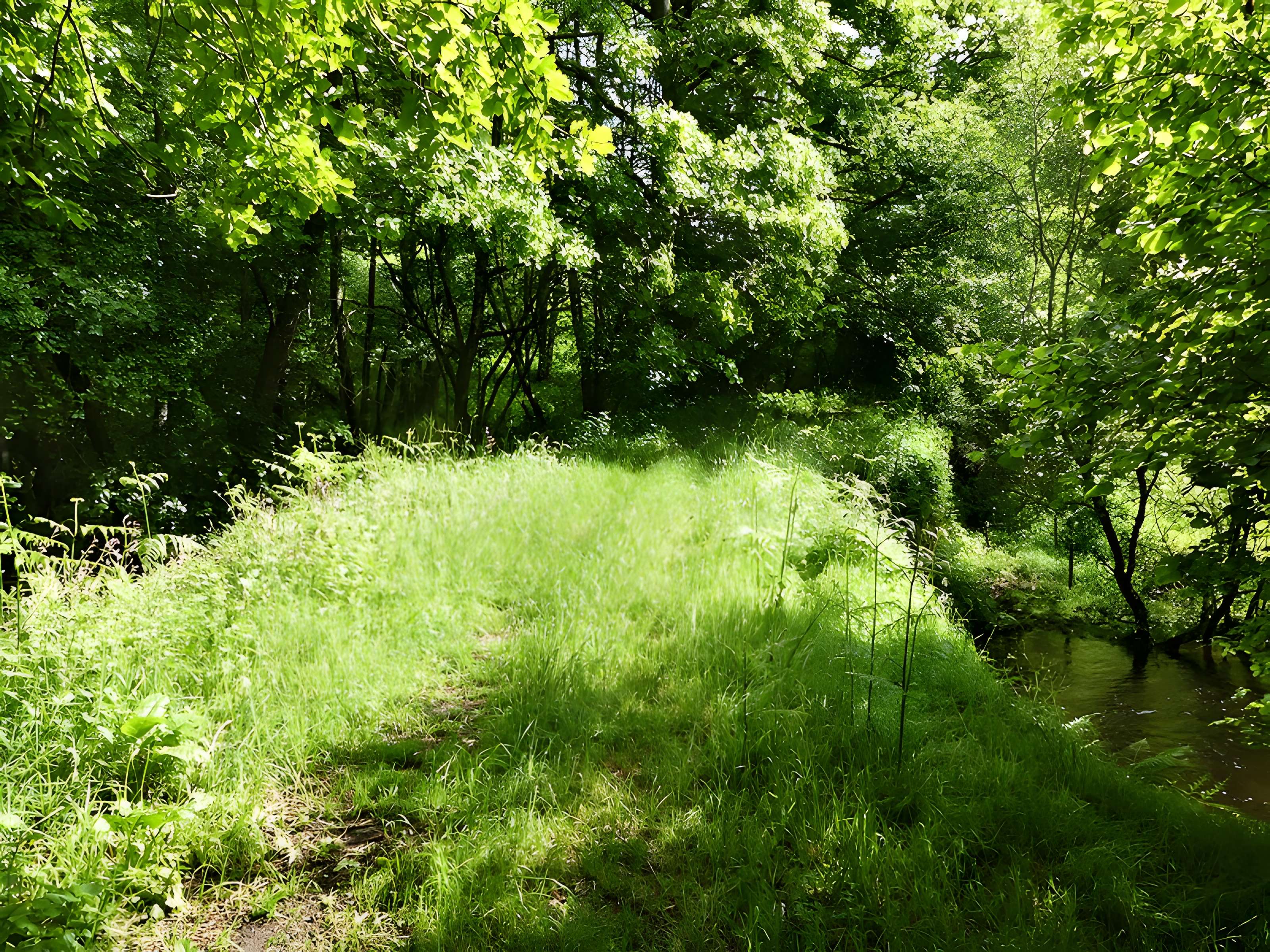 Pont-Périt de Saint-Hilaire-le-Château