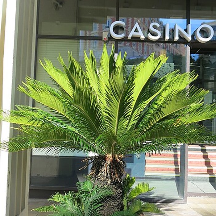 Photo de Casino municipal de Biarritz