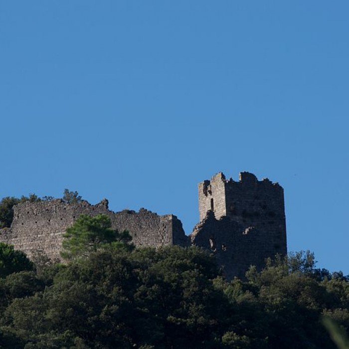 Photo de Château de Fressac