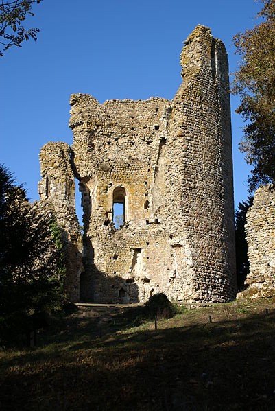 Photo de Château de Fréteval