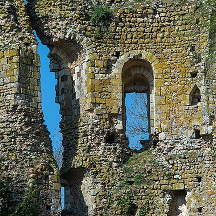 Photo de Château de Fréteval
