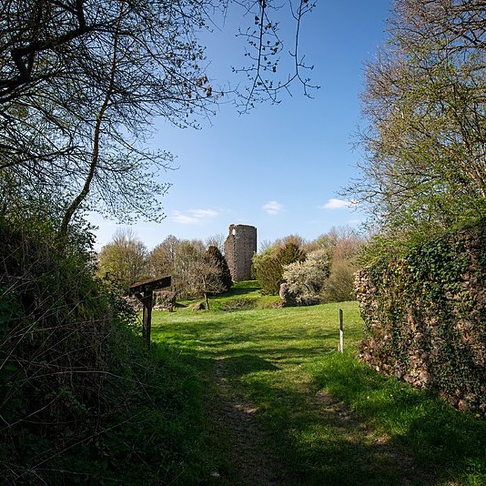 Photo de Château de Fréteval