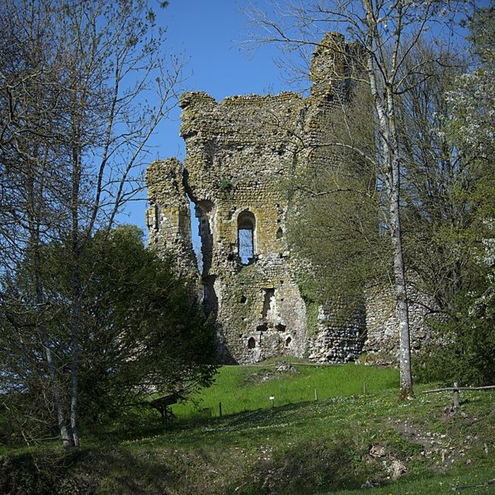 Photo de Château de Fréteval