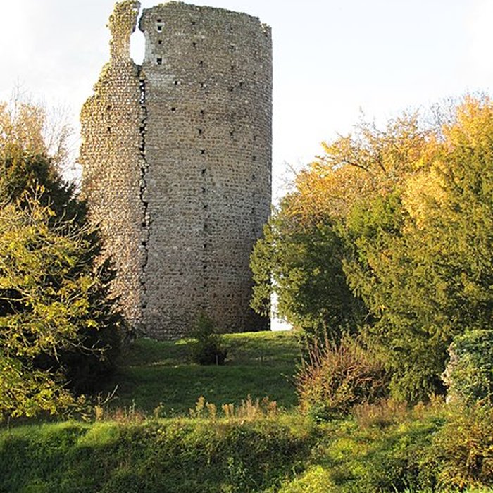 Photo de Château de Fréteval