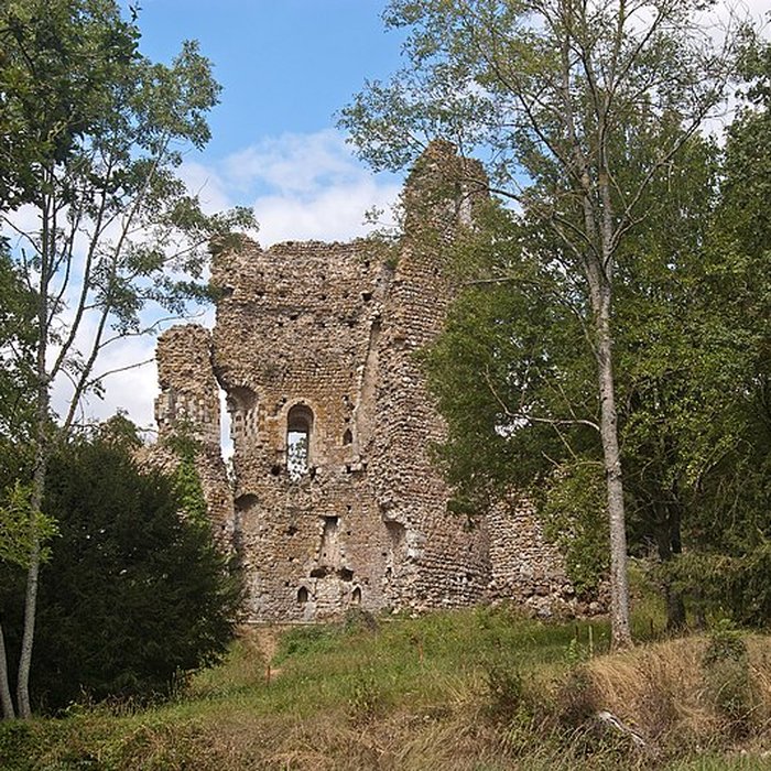 Photo de Château de Fréteval