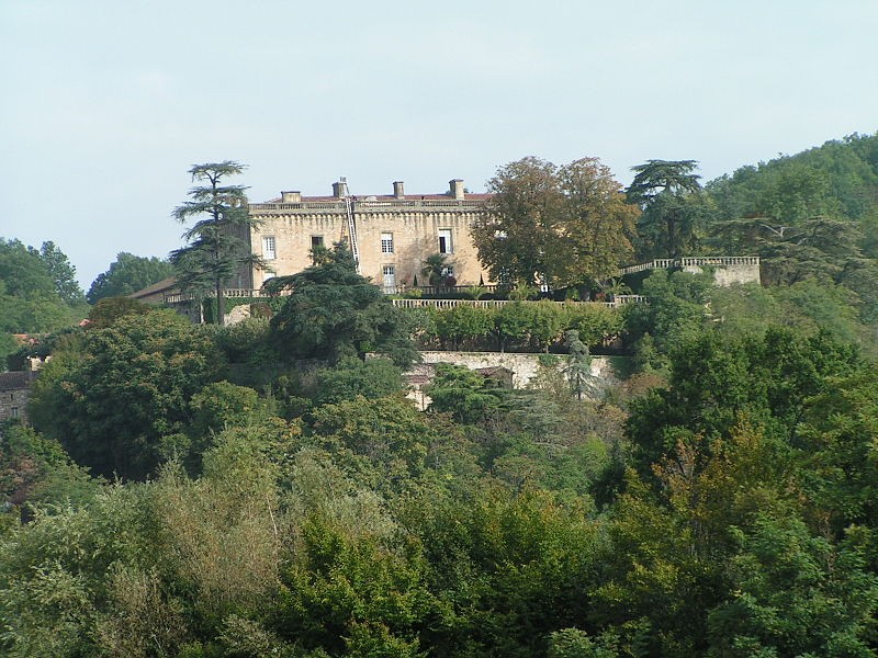 Photo de Château de Fumel