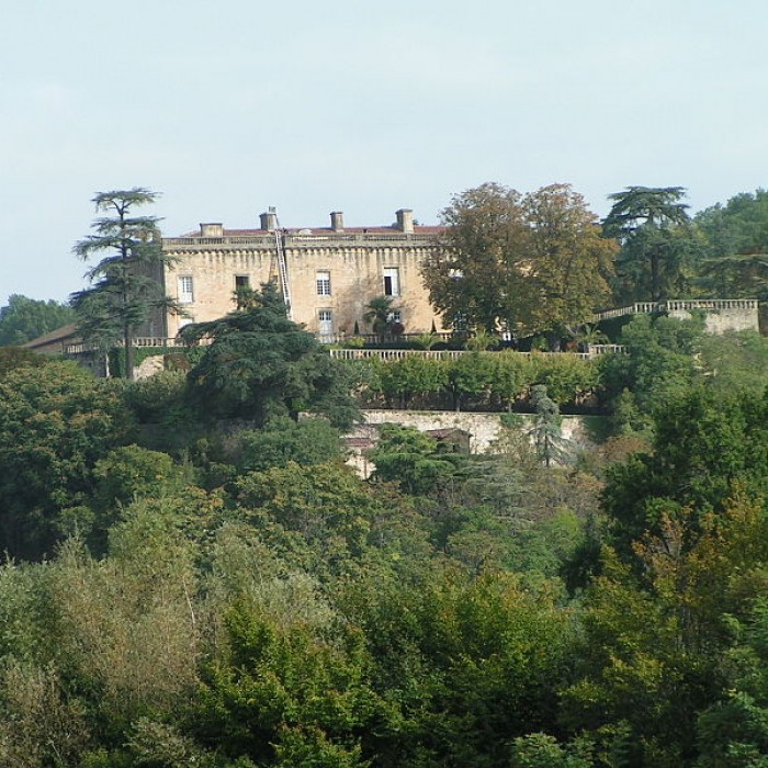 Photo de Château de Fumel