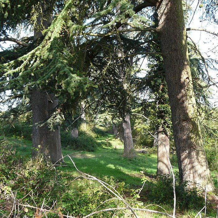Photo de Château de Gageac
